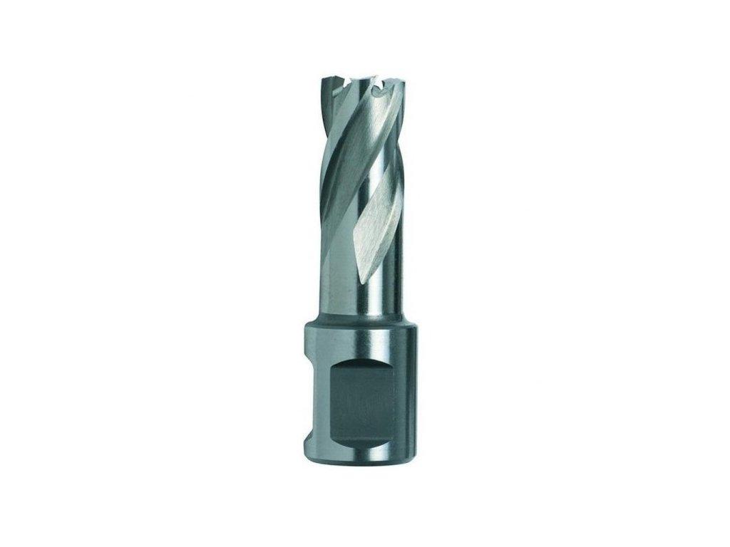 FREZA DO MAGNET. VŔTAČKY 20MM DEWALT DT8403